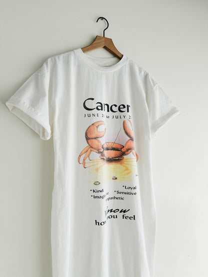 vintage astrology nightshirt (S/M)