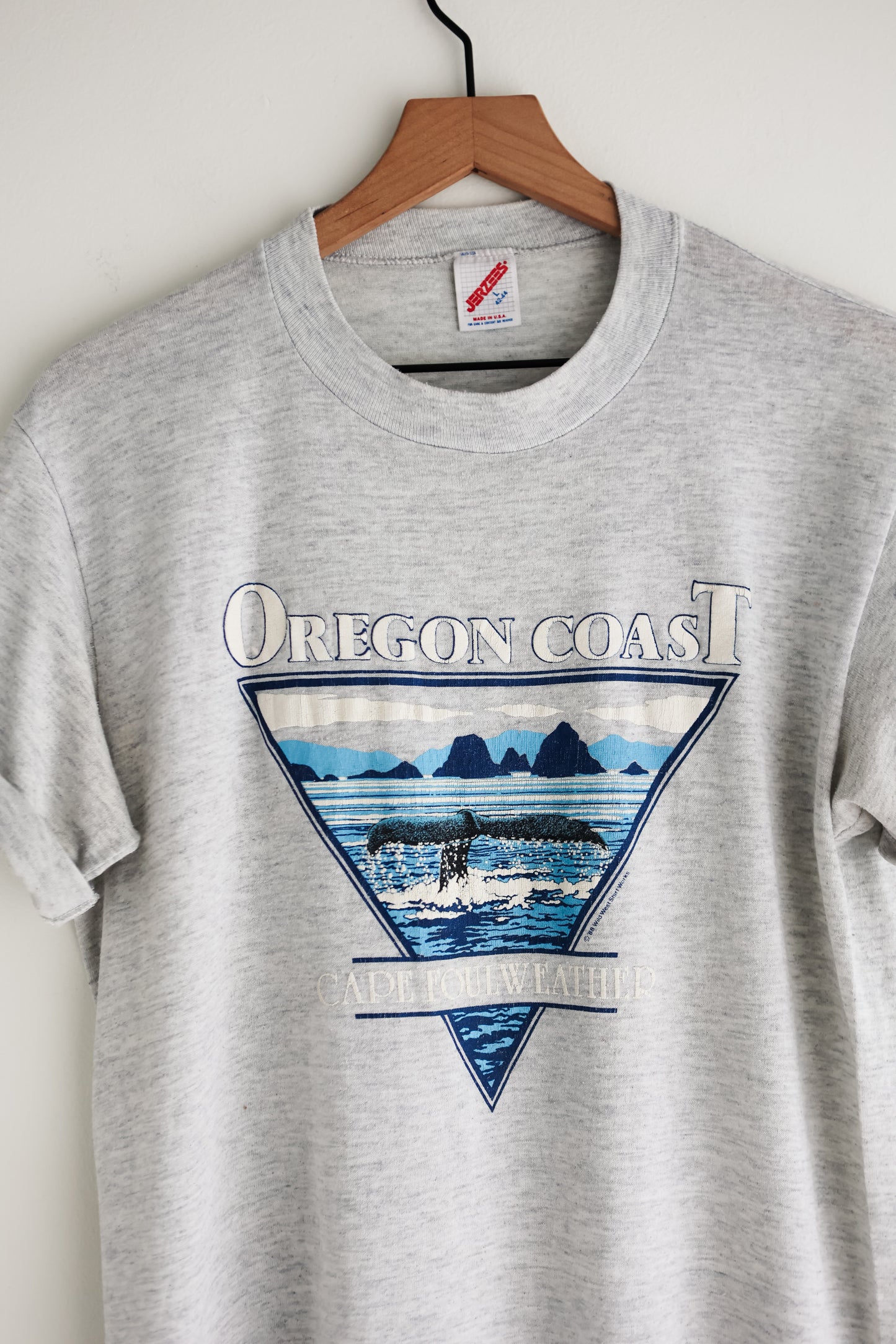vintage 80s Oregon Coast tee (M)