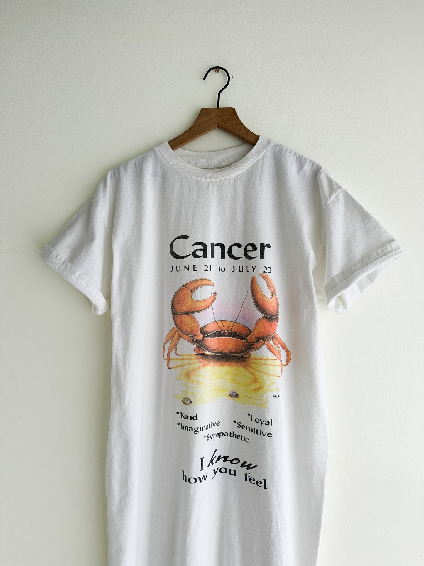 vintage astrology nightshirt (S/M)