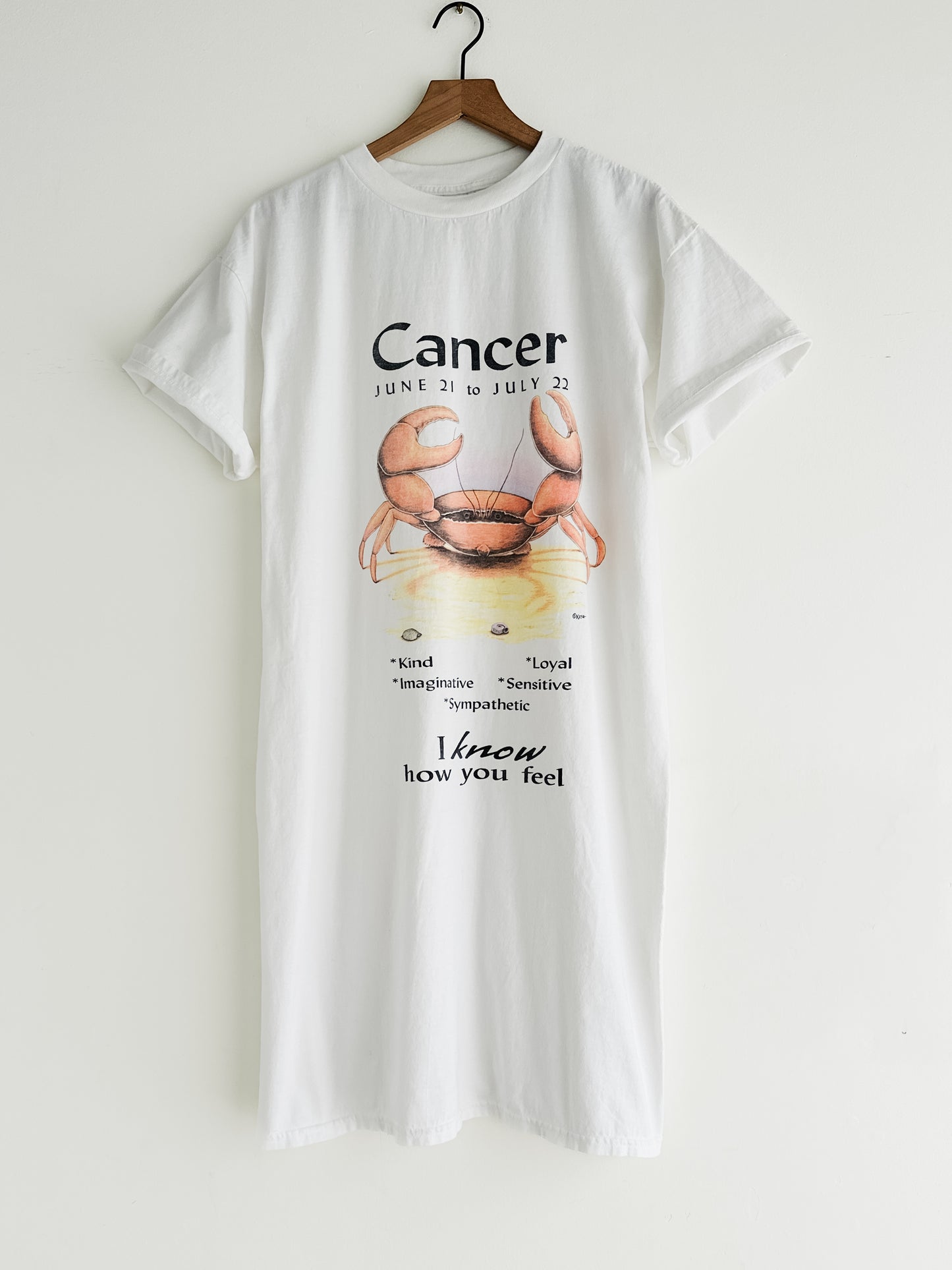 vintage astrology nightshirt (S/M)