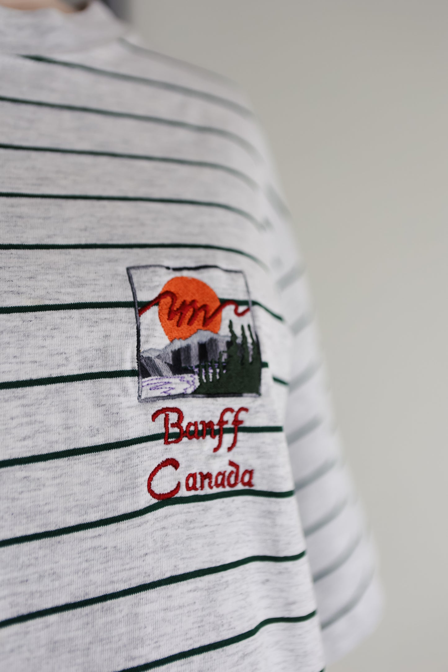 vintage 90s Banff vacation tee (M)