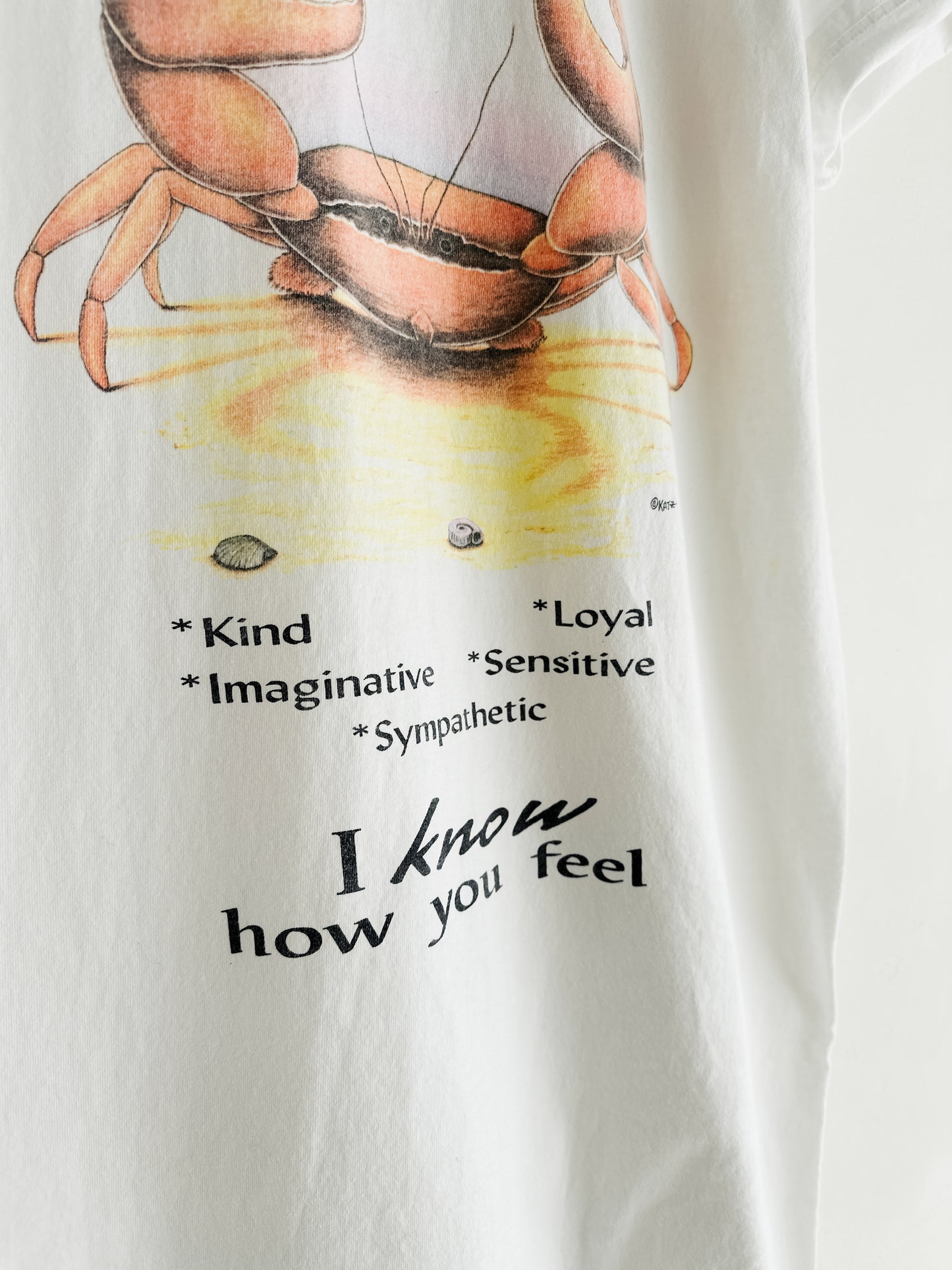 vintage astrology nightshirt (S/M)